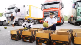 Dòng nông sản thông suốt qua cửa khẩu Lào Cai