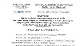 Phê duyệt hơn 108 tỷ đồng dịch vụ môi trường rừng 