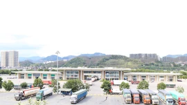 Gần 800 xe chở hàng xuất - nhập khẩu thông quan qua Cửa khẩu Kim Thành