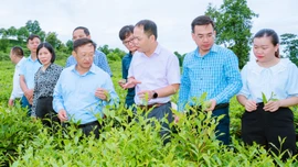 Điểm tựa vững chắc cho nông nghiệp và nông thôn mới