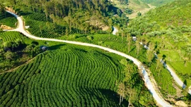 Nông dân Lào Cai phát huy vai trò chủ thể trong phát triển nông nghiệp và xây dựng nông thôn mới