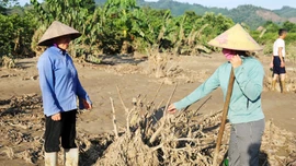 Cả làng hối hả đi cứu na