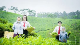 Phát huy vai trò tổ vay vốn trong phát triển nông nghiệp, nông thôn