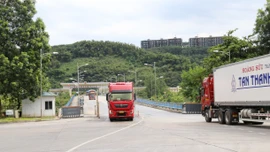 Lào Cai: Nhộn nhịp hoạt động xuất - nhập khẩu trong kỳ nghỉ lễ