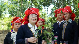 Dự án 8 tại Bảo Thắng: Lấy hiệu quả thực tế làm thước đo 