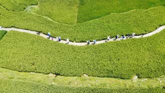 Nâng cao trách nhiệm cộng đồng xây dựng Tả Van sạch - hạnh phúc