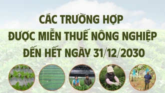[Infographic] Các trường hợp được miễn thuế nông nghiệp đến hết ngày 31/12/2030