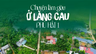 Chuyện làm giàu ở làng cau Phú Hải 1