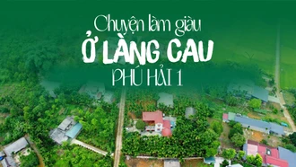 Chuyện làm giàu ở làng cau Phú Hải 1