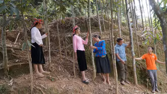 Dự án 8 nâng cao vị thế phụ nữ dân tộc thiểu số ở Bảo Yên 