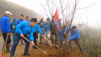 Tỉnh đoàn - Hội Liên hiệp Thanh niên Việt Nam tỉnh phát động Tết trồng cây “Đời đời nhớ ơn Bác Hồ"