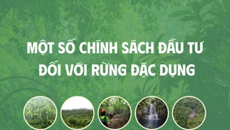 [Infographic] Một số chính sách đầu tư đối với rừng đặc dụng