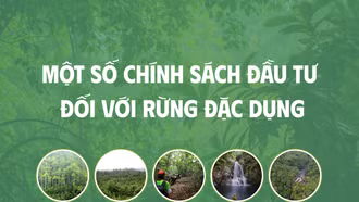 [Infographic] Một số chính sách đầu tư đối với rừng đặc dụng