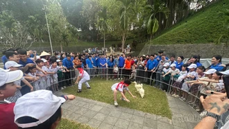 Sắc màu văn hóa truyền thống tại Lễ hội đền Thượng 