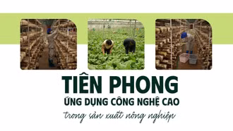 Tiên phong ứng dụng công nghệ cao trong sản xuất nông nghiệp