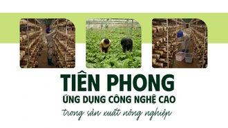 Tiên phong ứng dụng công nghệ cao trong sản xuất nông nghiệp