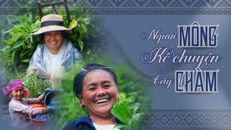 Người Mông kể chuyện cây chàm