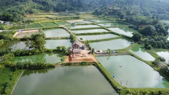 Người nuôi thủy sản thích ứng với biến đổi khí hậu