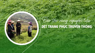 Bảo tồn vùng nguyên liệu dệt trang phục truyền thống