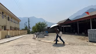 Chủ động ứng phó với gió Ô Quý Hồ