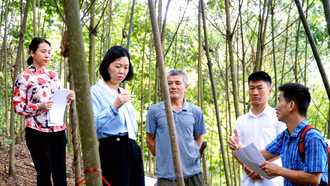 Sở Khoa học và Công nghệ đánh giá đề tài nghiên cứu khoa học tại huyện Bảo Yên và Văn Bàn