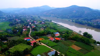 Thôn Thái Bo nằm ven sông Hồng. Thôn có 196 hộ dân thì 80% trồng rau. Diện tích rau của thôn là hơn 7 ha.