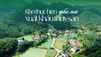 Khó thực hiện giấc mơ xuất khẩu thuỷ sản