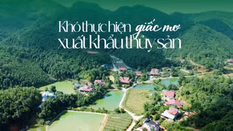 Khó thực hiện giấc mơ xuất khẩu thuỷ sản