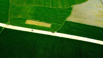 Tuyến đường nội đồng quan trọng thuộc xã Thống Nhất, thành phố Lào Cai.