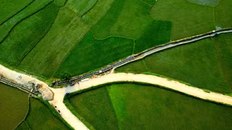 Đường nội đồng tỏa rộng kết nối vùng trồng lúa Mường Vi, Bát Xát.