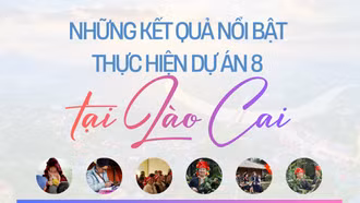 Những kết quả nổi bật thực hiện Dự án 8 tại Lào Cai 