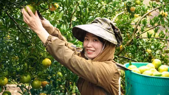 Người Bố Y làm du lịch nông nghiệp