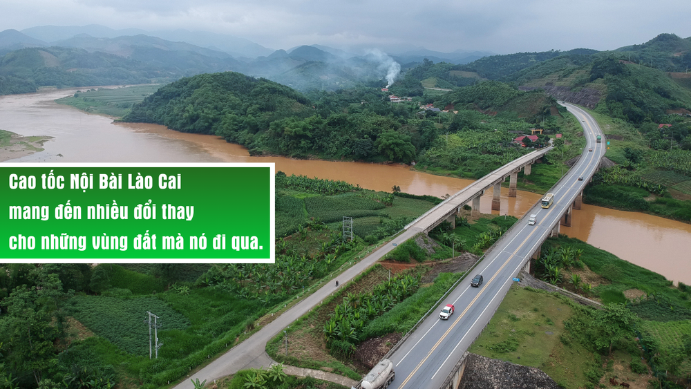 88vn - Hiểu Đúng Để Giao Dịch Hiệu Quả