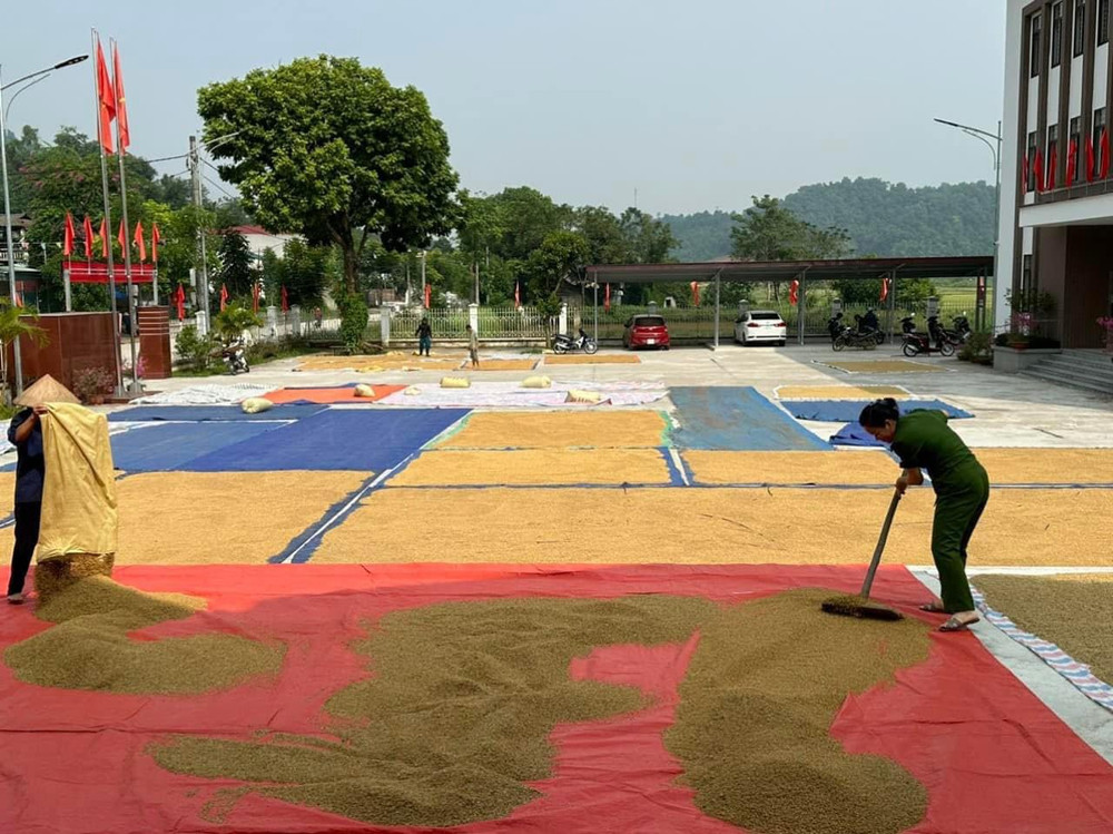 Dịch vụ giúp việc Gia Hoàng tại Xã Trừ Văn Thố chất lượng và uy tín