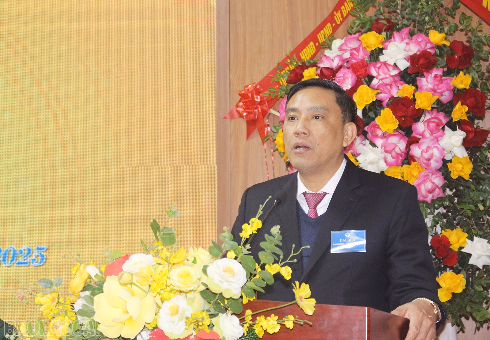 baolaocai-bl_img-4755.jpg