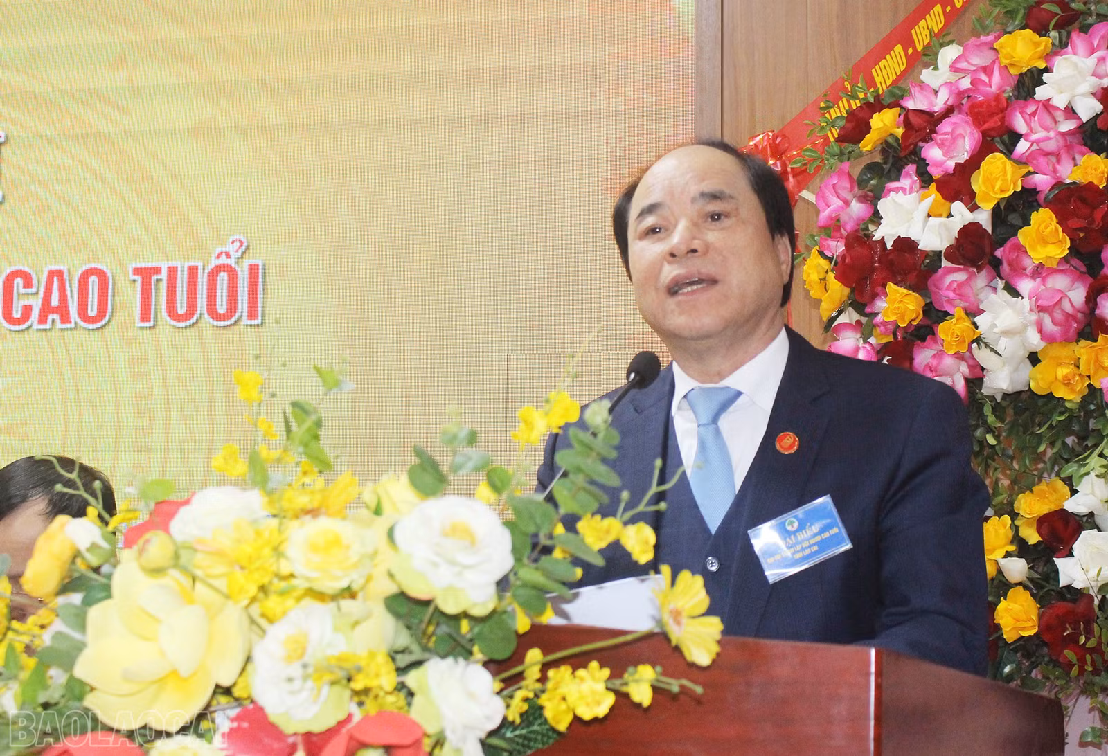 baolaocai-bl_img-4758.jpg