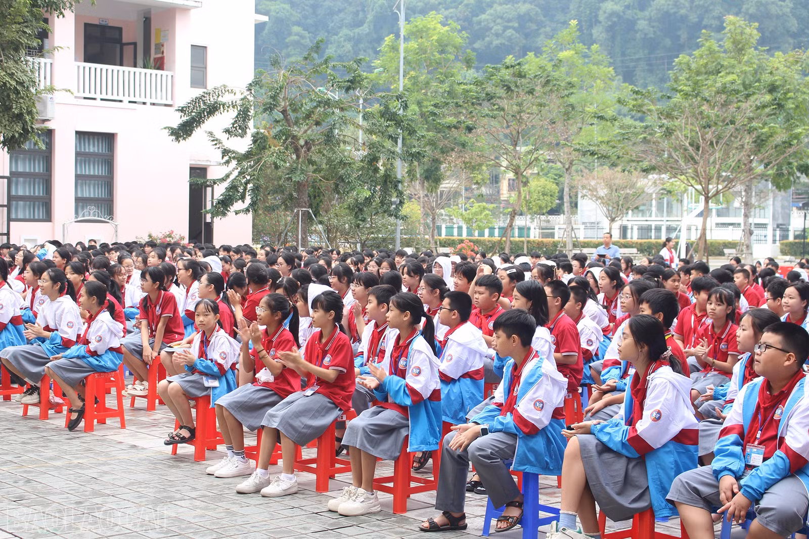 baolaocai-bl_img-2945.jpg