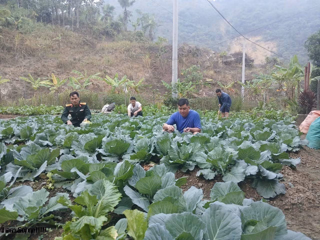 Thiếu tá Lý A Kho (mặc quân phục) cùng đồng đội tăng gia sản xuất.