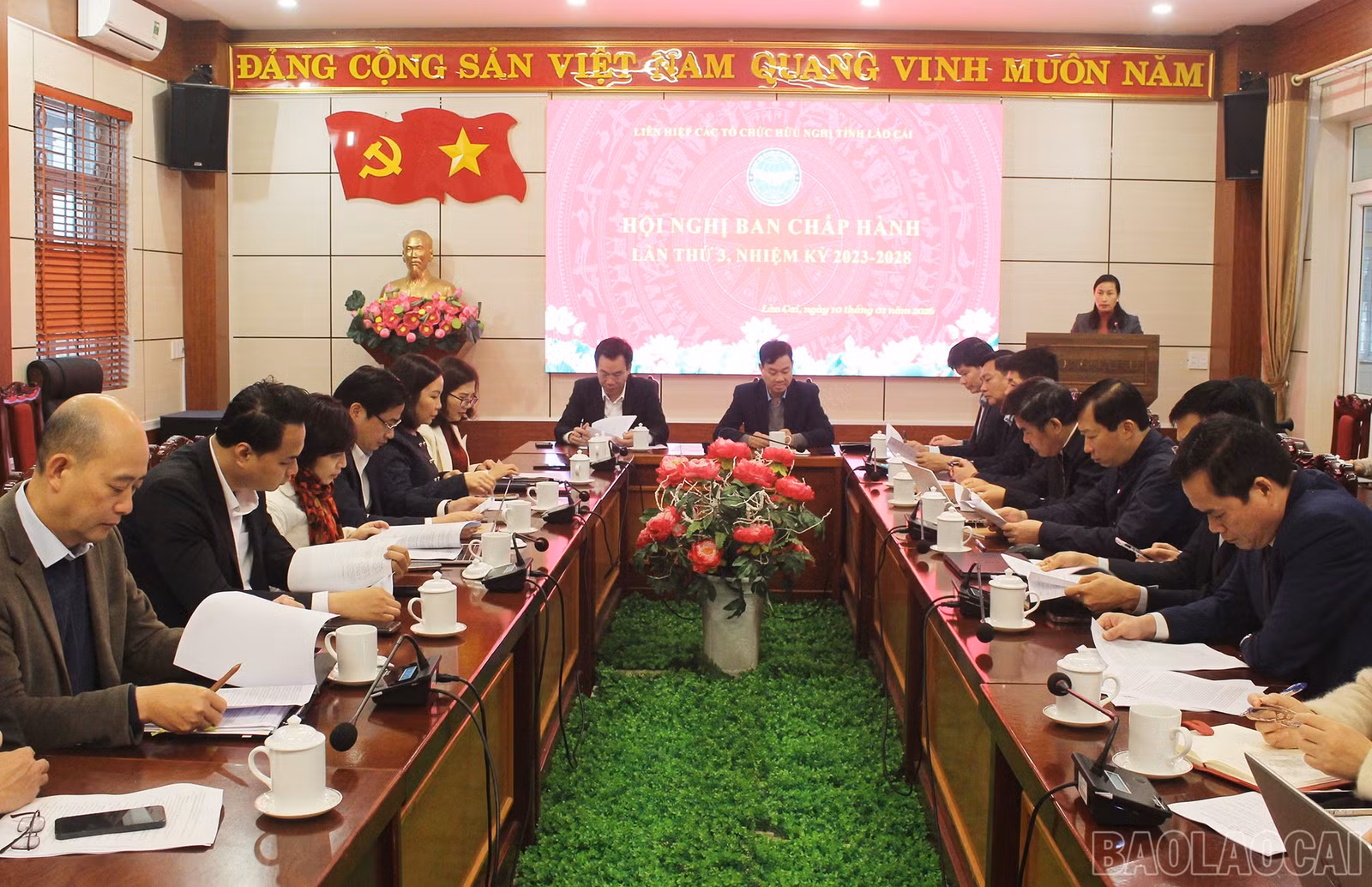 baolaocai-br_img-7513.jpg