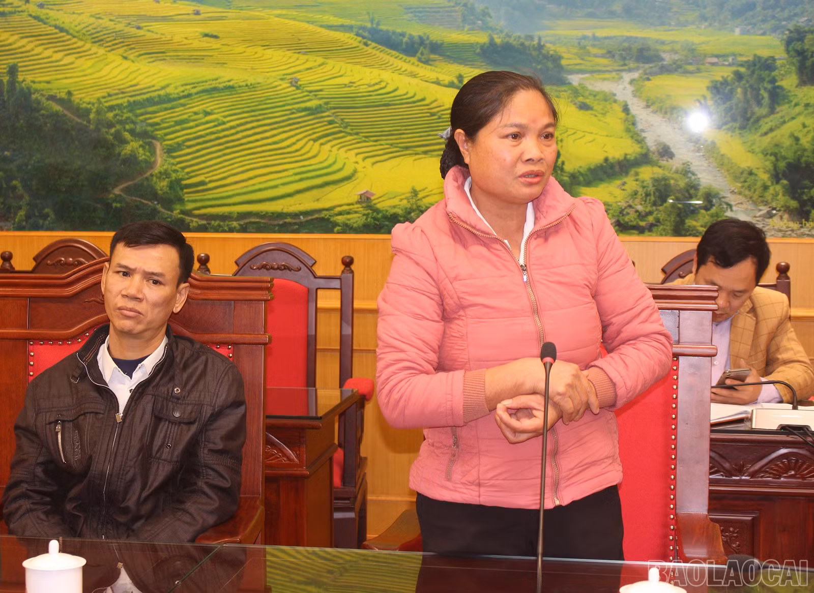 baolaocai-br_img-7802.jpg