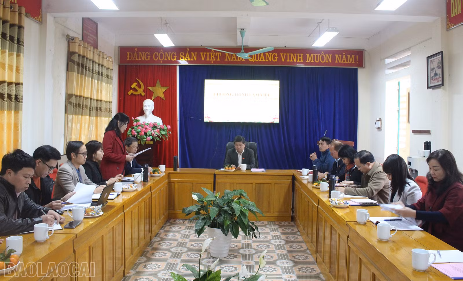 baolaocai-bl_img-3859.jpg