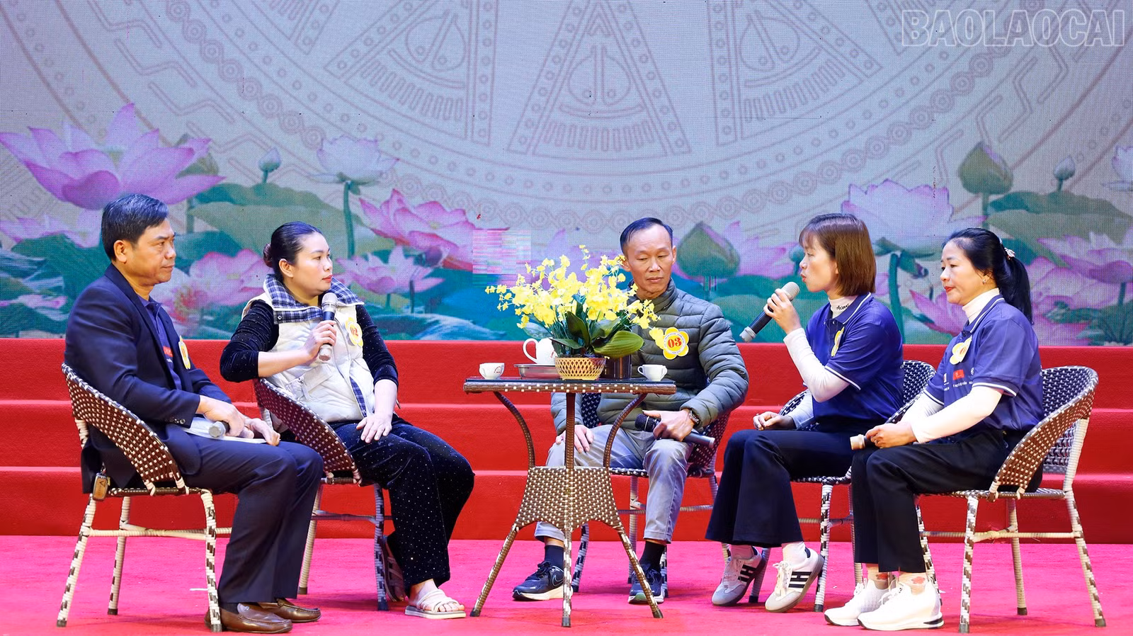 baolaocai-tr_mg-8394.jpg
