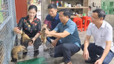Đảng viên đi trước, Suối Bu đổi thay