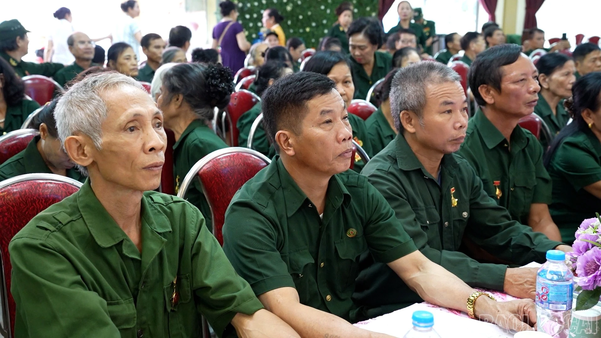 baolaocai-br_thanh-nien-9.jpg