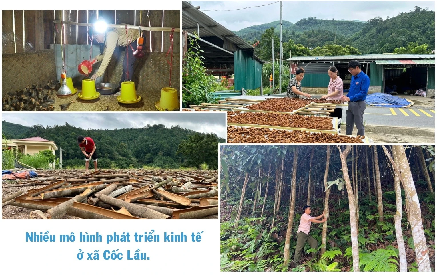 ngo-thu-nhap-bap-benh-trong-khi-chuoi-bi-benh-khien-gia-dinh-anh-ho-gap-kho-390.jpg