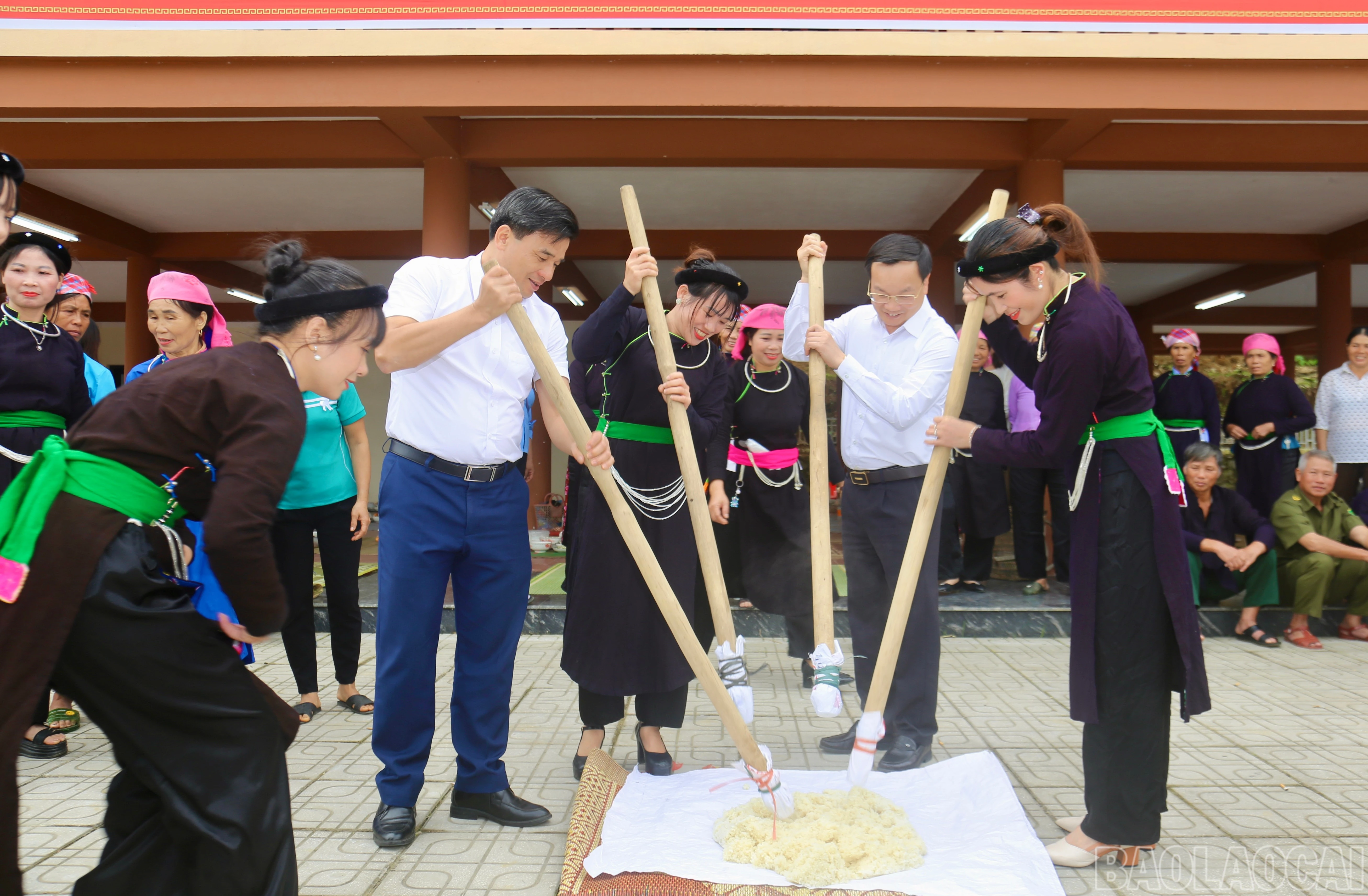 baolaocai-br_img-8236.jpg