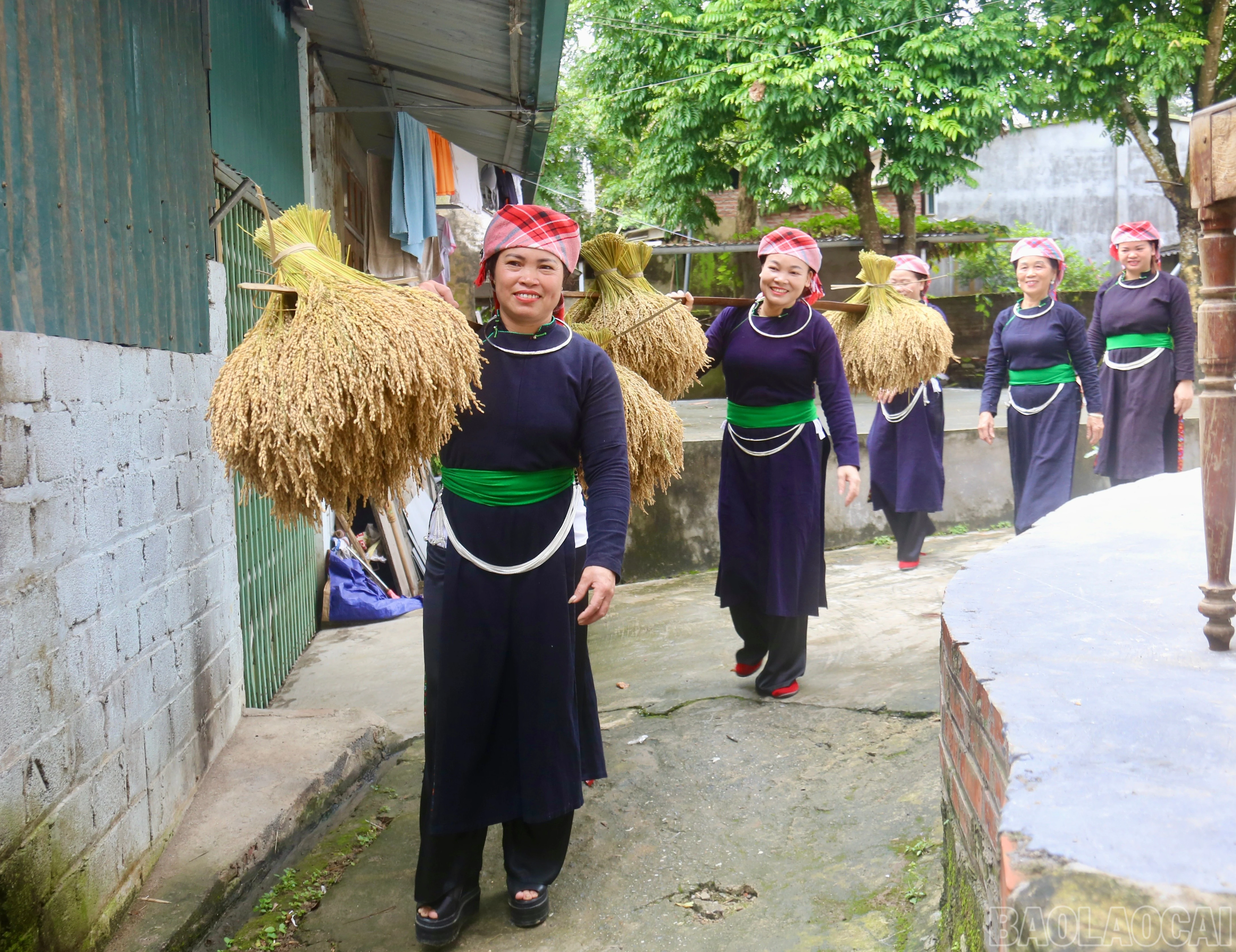 baolaocai-br_img-7664.jpg