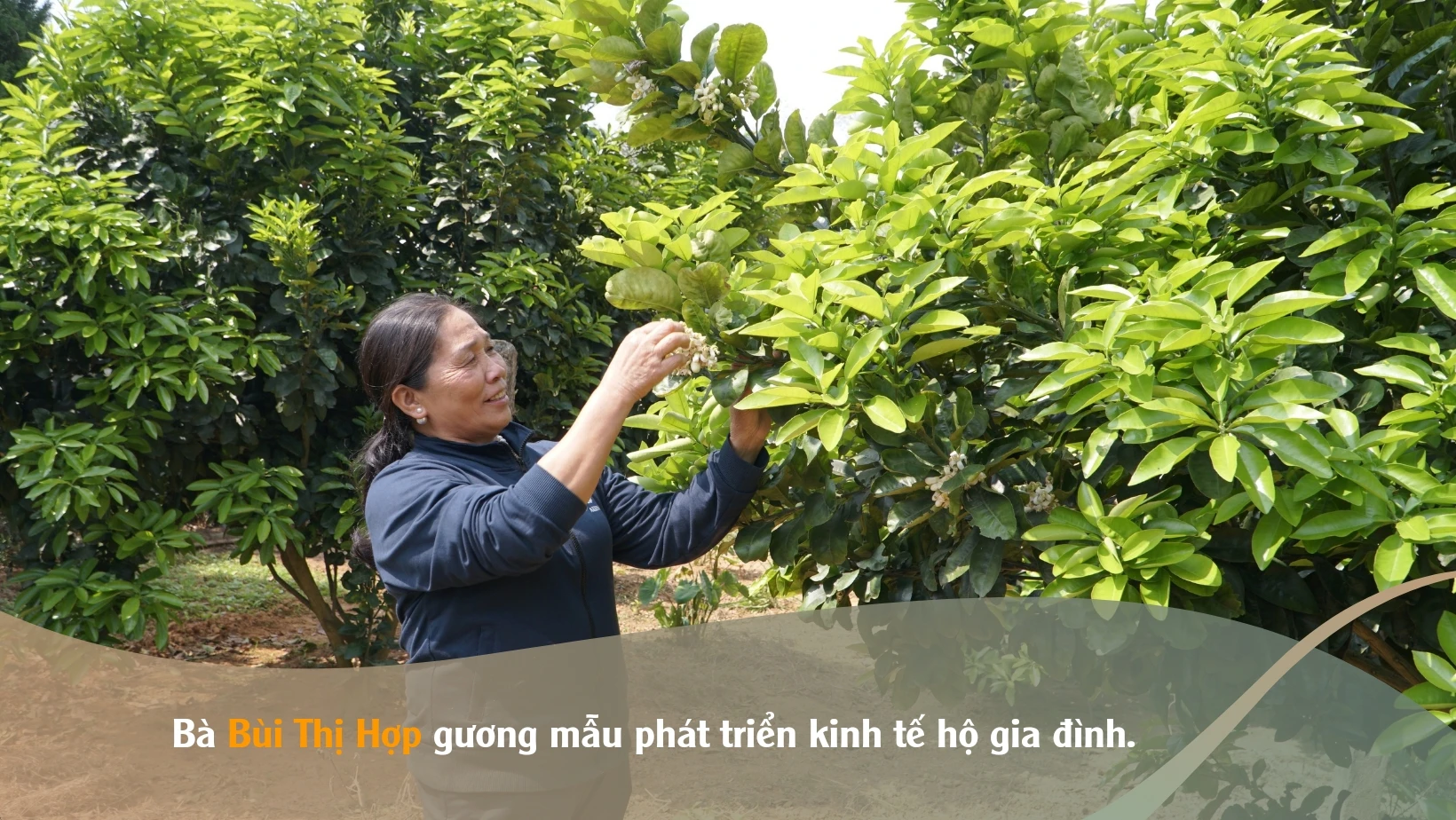 Brown & Beige Geometric Travel Facebook Cover_20240430_115405_0001.jpg