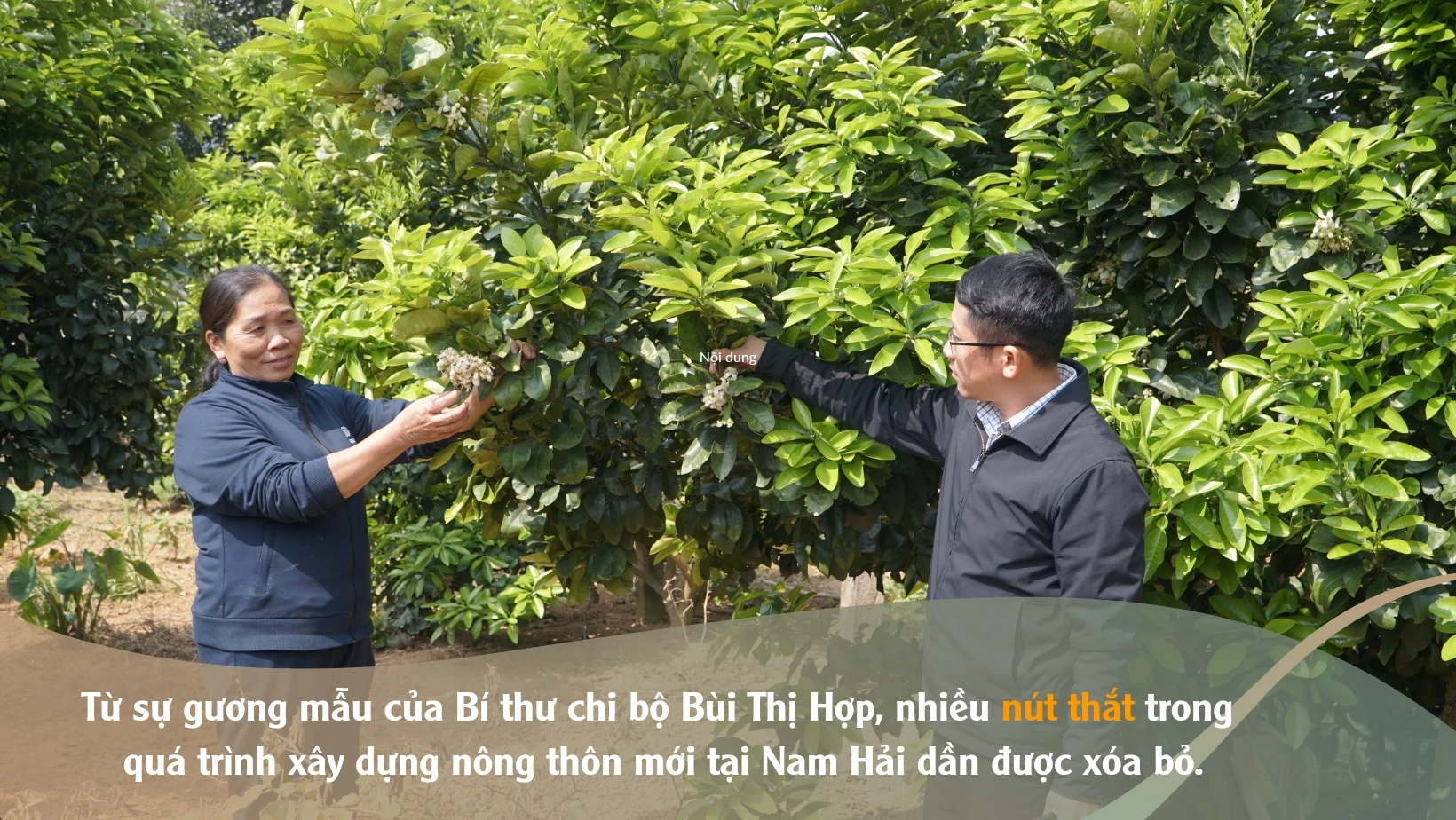 Brown & Beige Geometric Travel Facebook Cover_20240430_115405_0002.jpg