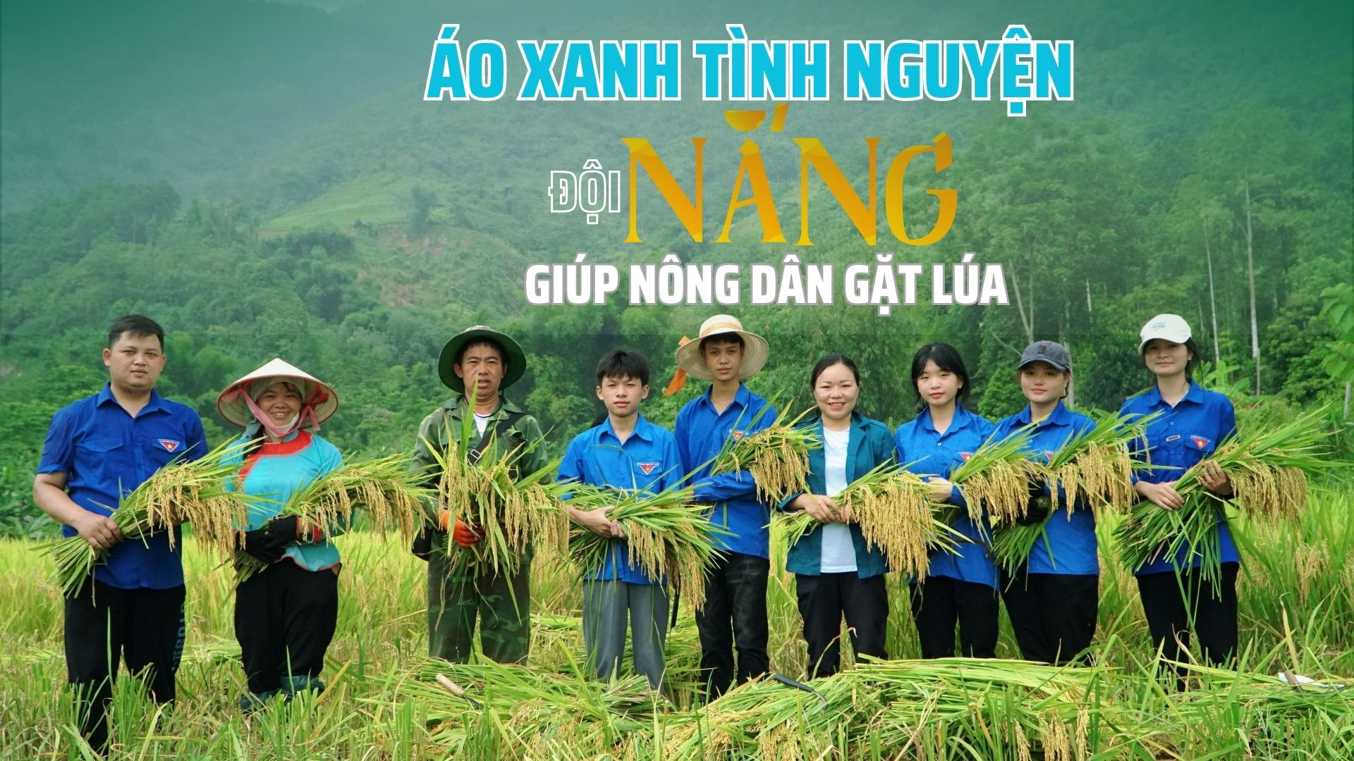 Áo xanh tình nguyện "đội nắng" giúp nông dân gặt lúa